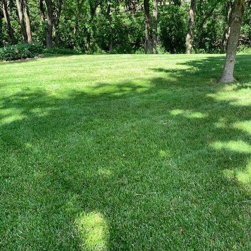 fertilizing and weed control service sioux falls