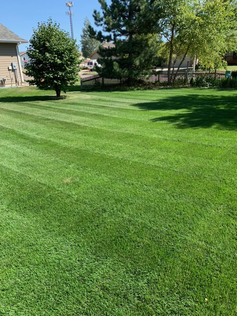 local lawn mowing service in sioux falls